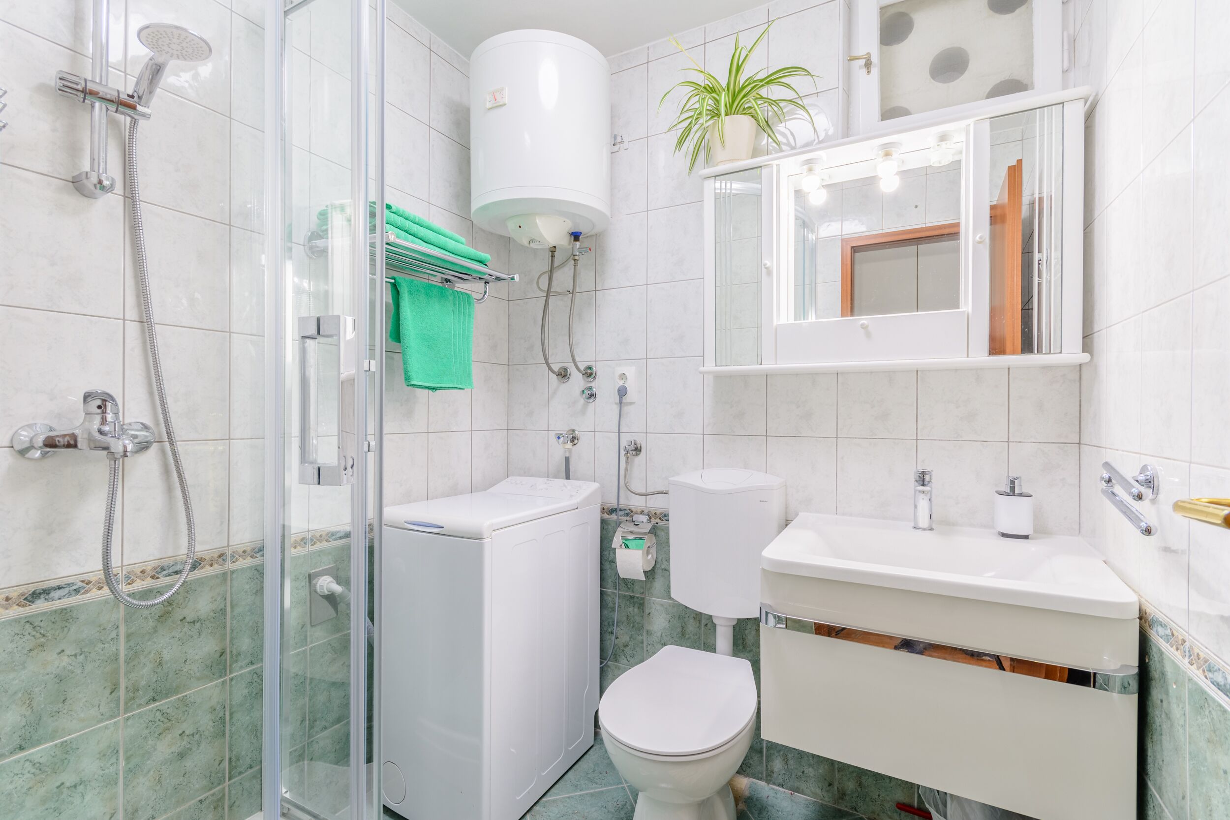 Une salle de bain avec une douche à parois de verre, des toilettes blanches, un lavabo avec un miroir et une plante en pot.