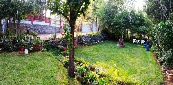 Enjoy a serene outdoor space surrounded by lush greenery and a variety of plants.