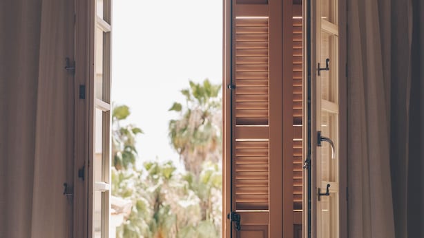 Puerta de madera abierta con vistas a palmeras.