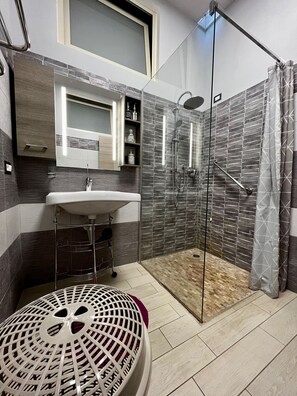 Shower, hair dryer, bidet, towels