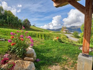 Property grounds - Charming mountain apt, near slopes, 6 pax, parking, WiFi included (Crest-Voland)