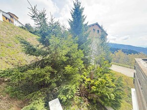 View from property - Cozy studio cabin with balcony and pets allowed (Les Adrets-Prapoutel)
