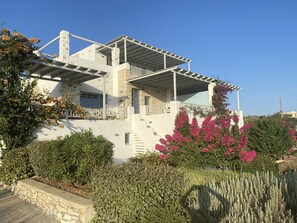 Une maison moderne avec une façade en pierre, un balcon et un jardin agrémenté de diverses plantes et fleurs.