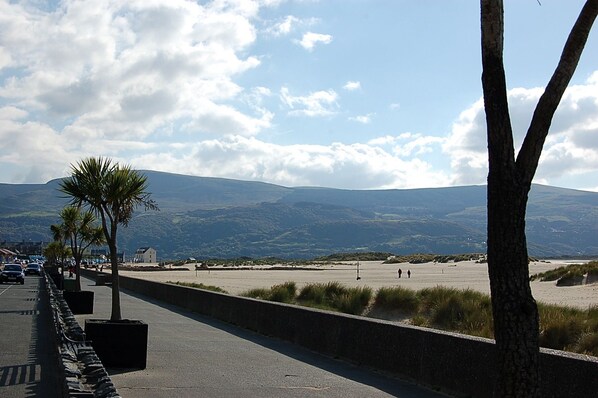 A coastal road with palm trees, a beach, and distant mountains. - Hafan Y Traeth Beach Front Apartment in Barmouth (Barmouth)