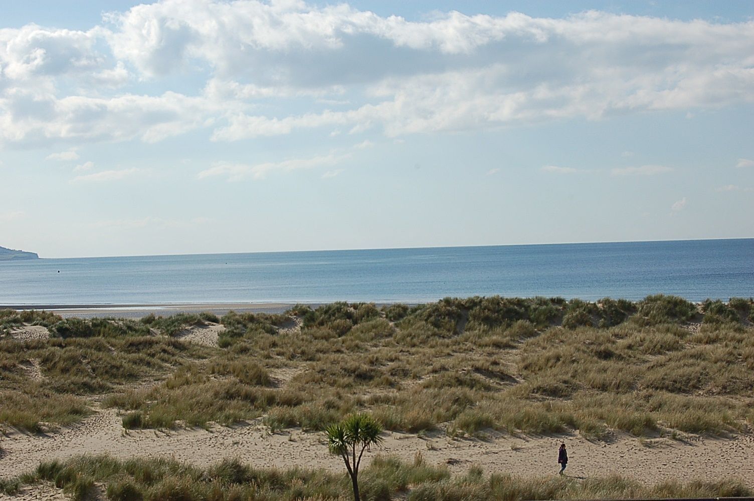 On the beach
