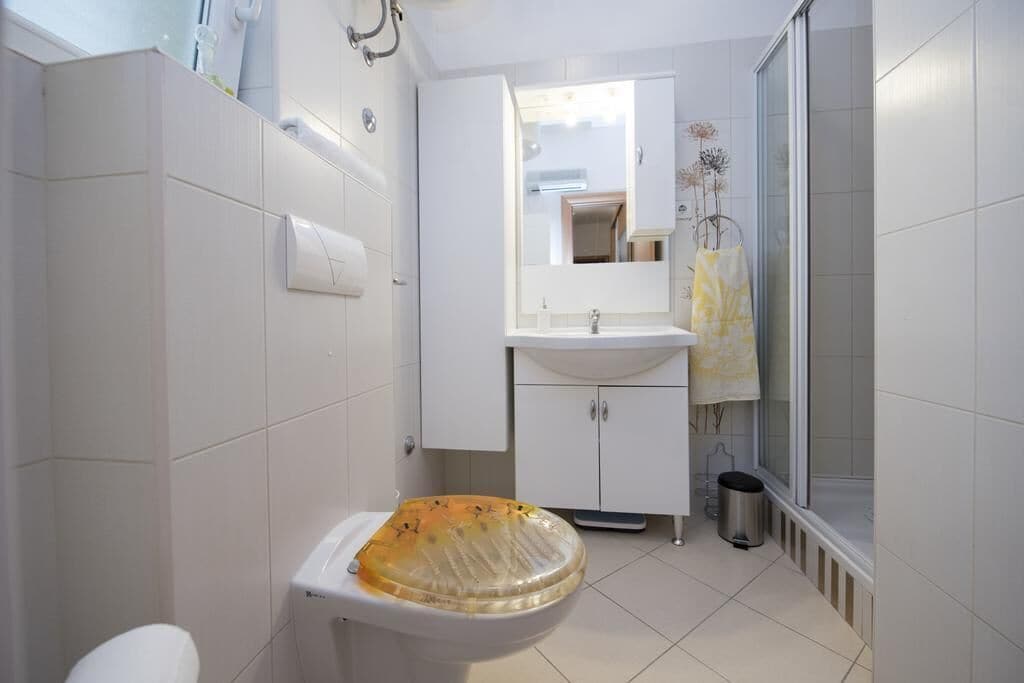 Une salle de bain équipée de toilettes, d’un lavabo, d’un miroir et d’une douche.