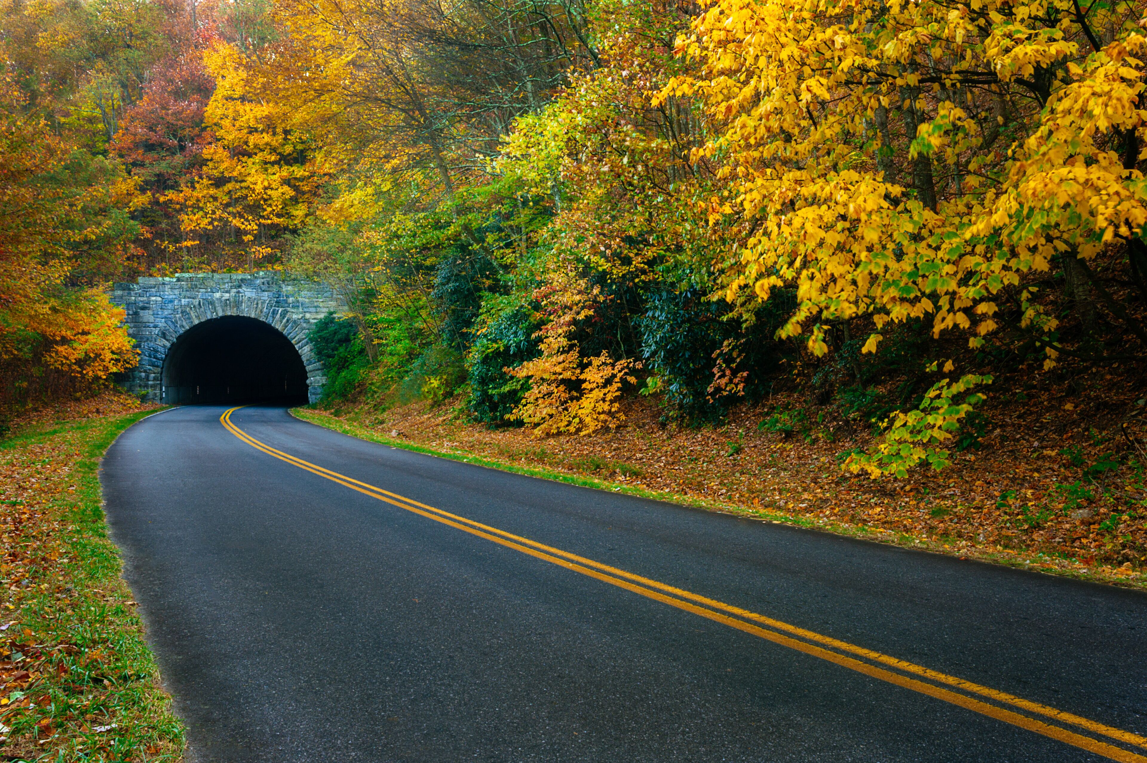 A road leading to a stone arch bridge surrounded by autumn foliage.