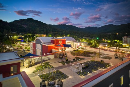 Candlewood Suites Asheville Downtown, an IHG Hotel - Image 49