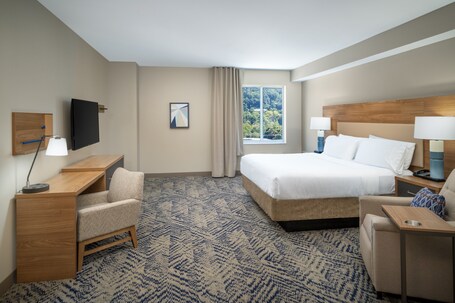Candlewood Suites Asheville Downtown, an IHG Hotel - Image 69
