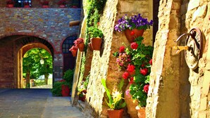 Una estrecha calle empedrada con edificios de piedra, plantas en macetas y un grifo rústico fijado a la pared.