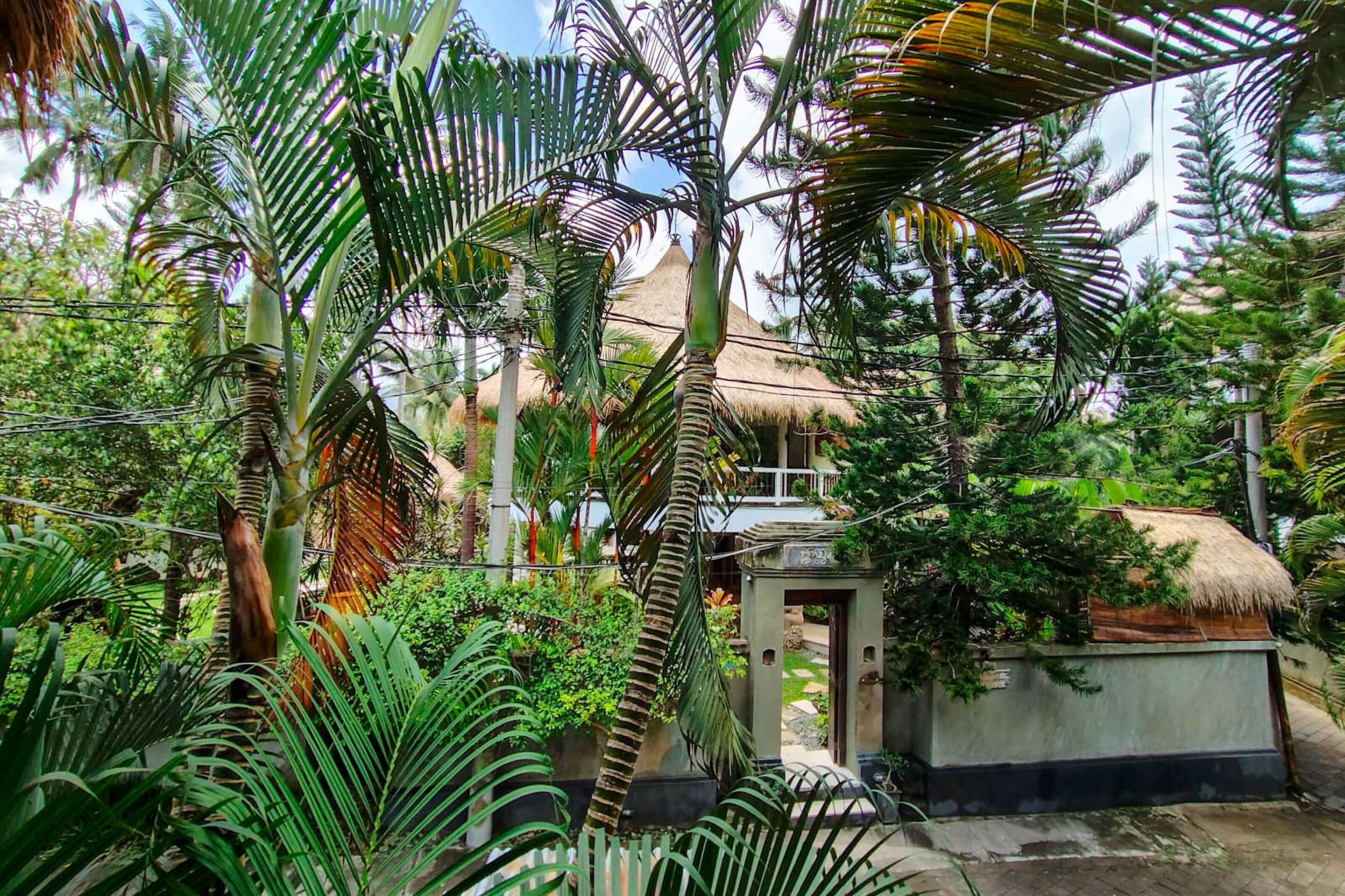 A tropical garden with a thatched-roof structure, surrounded by lush greenery and palm trees.