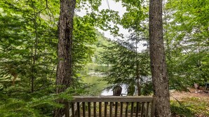 Un banc en bois, entouré de grands arbres et bordant un lac paisible.