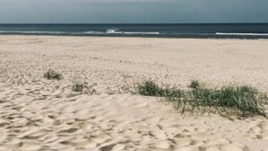 Una playa arenosa con vegetación escasa y cielo despejado.