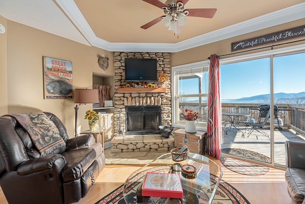 Smart TV, fireplace, books