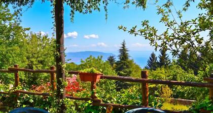Liano Iris - Terrace & parking place