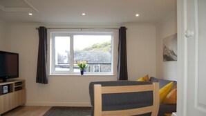 A living room with a TV, a sofa, a chair, a window with curtains, and a plant. - No 6 at Dolgoch Falls Cottages (Bryncrug)