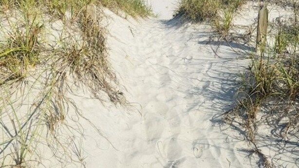 Ein sandiger Pfad, der zu einem Strand führt, gesäumt von Gras.