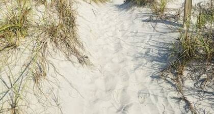 Family friendly oceanfront condo, directly on the beach.