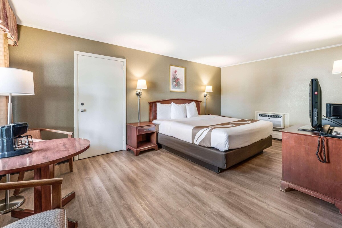 Habitació d'hotel amb llit, taulella de nit, làmpada, escriptori, cadira i televisió.