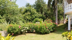 A lush garden with a variety of plants and flowers, a paved pathway, and a white building with a balcony. - Villa Roma (Montego Bay)