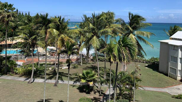 Un complexe hôtelier doté d’une piscine, de palmiers et offrant une vue sur l’océan.