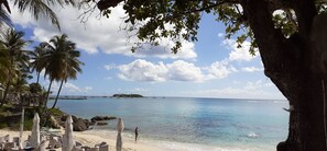 بالقرب من الشاطئ، كراسي للتشمس