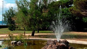 Un estanque con una fuente, rodeado de árboles y césped.