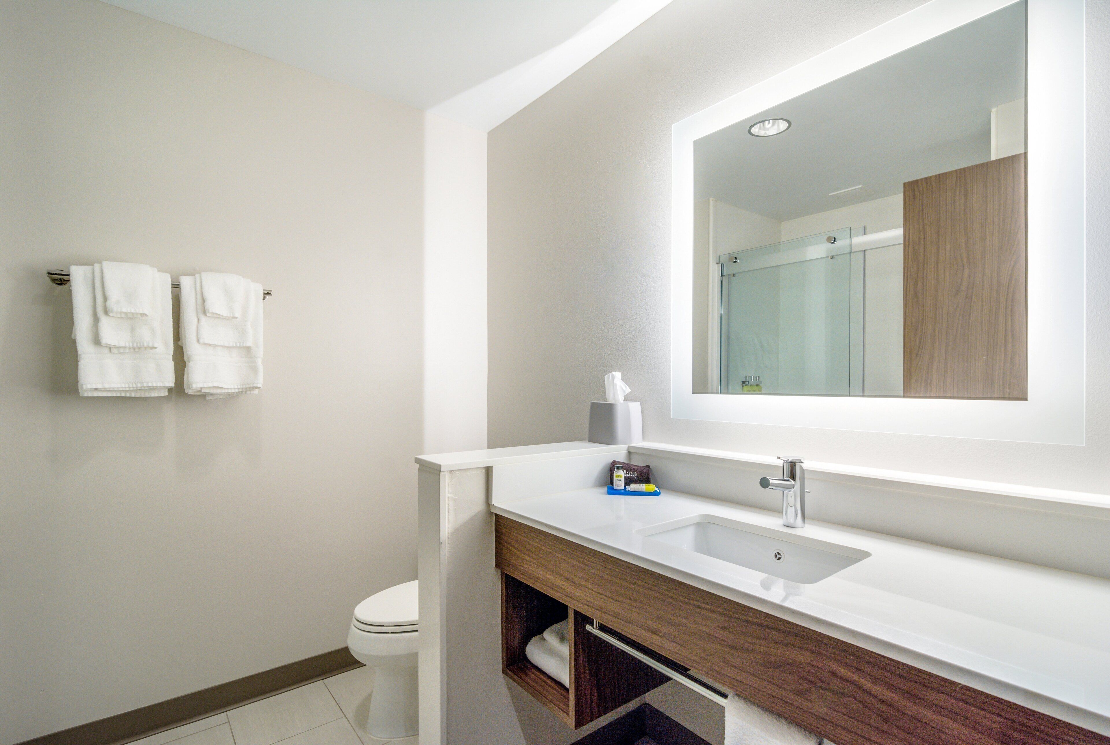 Une salle de bain moderne avec un lavabo blanc, un meuble-lavabo en bois et un grand miroir.