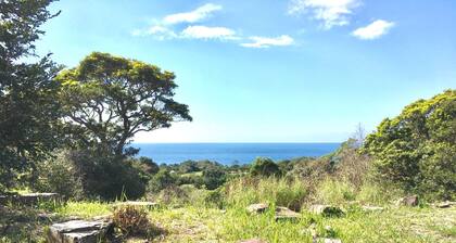 A perfect starry sky and a private house on Yakush / Kumage-gun Kagoshima