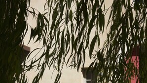 A courtyard with a wooden table and chairs, surrounded by a stone wall and a red building. - Syrah (Robion)