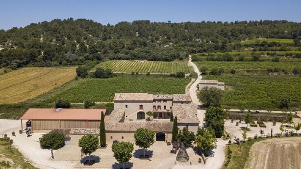 A rural property with a central building surrounded by vineyards, a paved driveway, and a few trees. - Syrah (Robion)