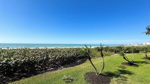 On the beach, sun-loungers, beach towels - Sea Winds 101 Beach front, first floor, large corner unit (Marco Island)