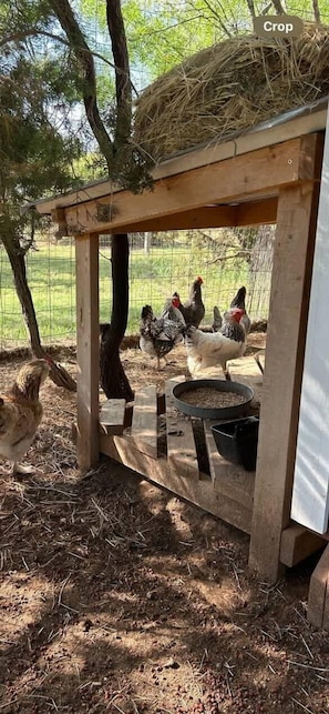 Property grounds - The Hideout at Palo Duro Canyon - Rider’s Roost (Canyon)