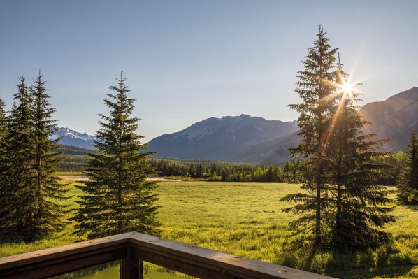 Property grounds - Post and Beam Country home on 40 Acres of land in the Blaeberry Valley, Golden. (Golden)
