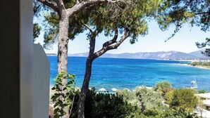 Vista de un paisaje costero con un árbol destacado y un mar azul cristalino.