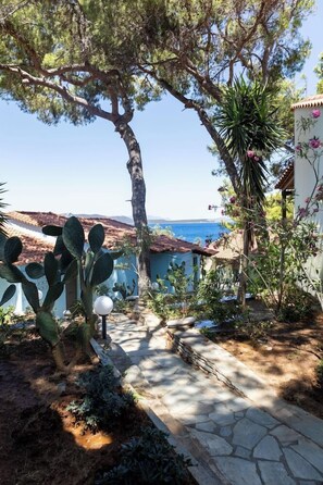 Área da propriedade