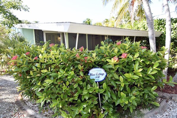 A sign for 'Blue Cottage No. 2' in a lush garden area with a building in the background.
