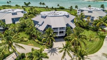 A resort with multiple buildings featuring flat roofs, surrounded by palm trees and a beach view.