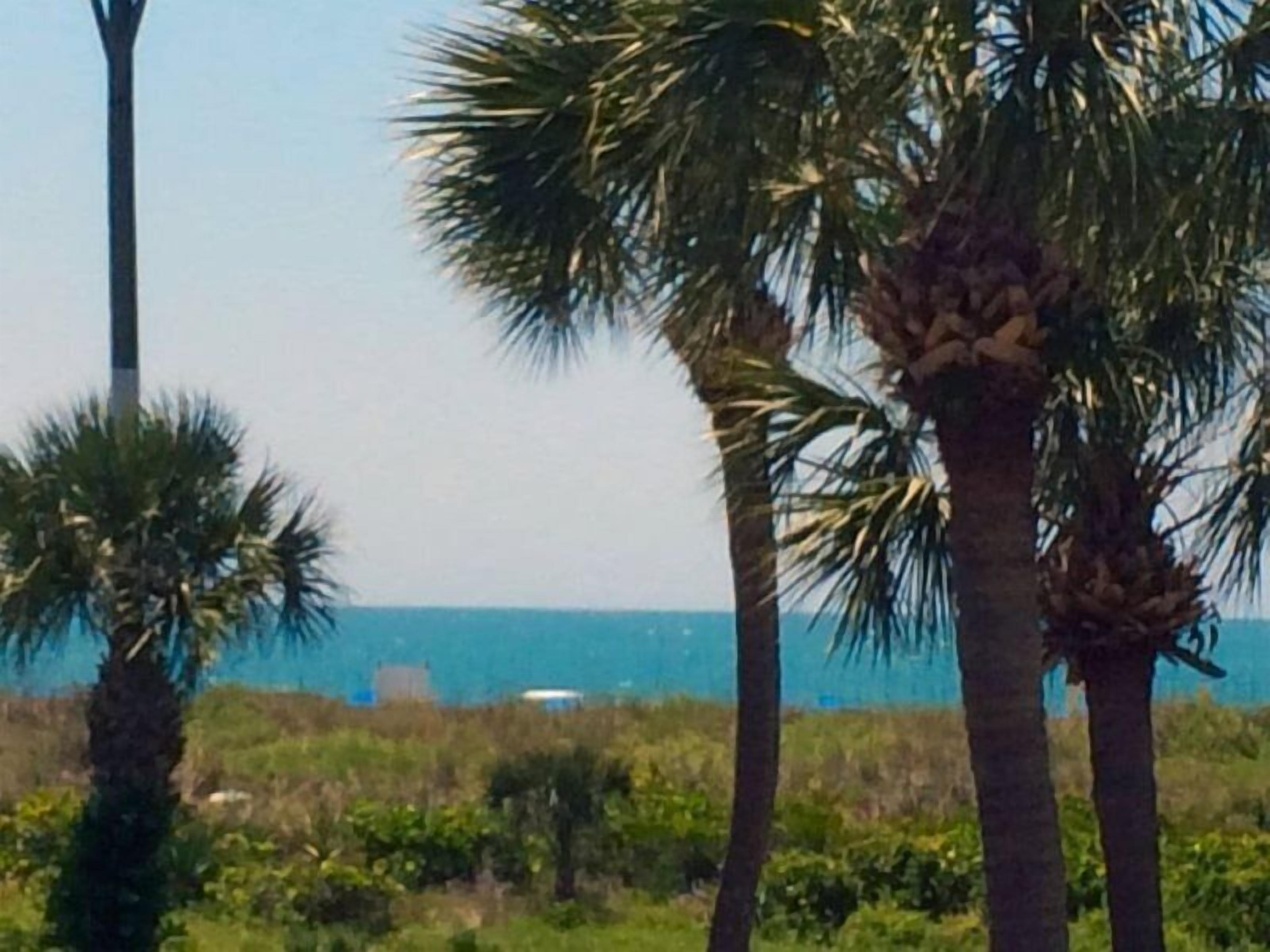 A coastal landscape with palm trees and a view of the ocean.