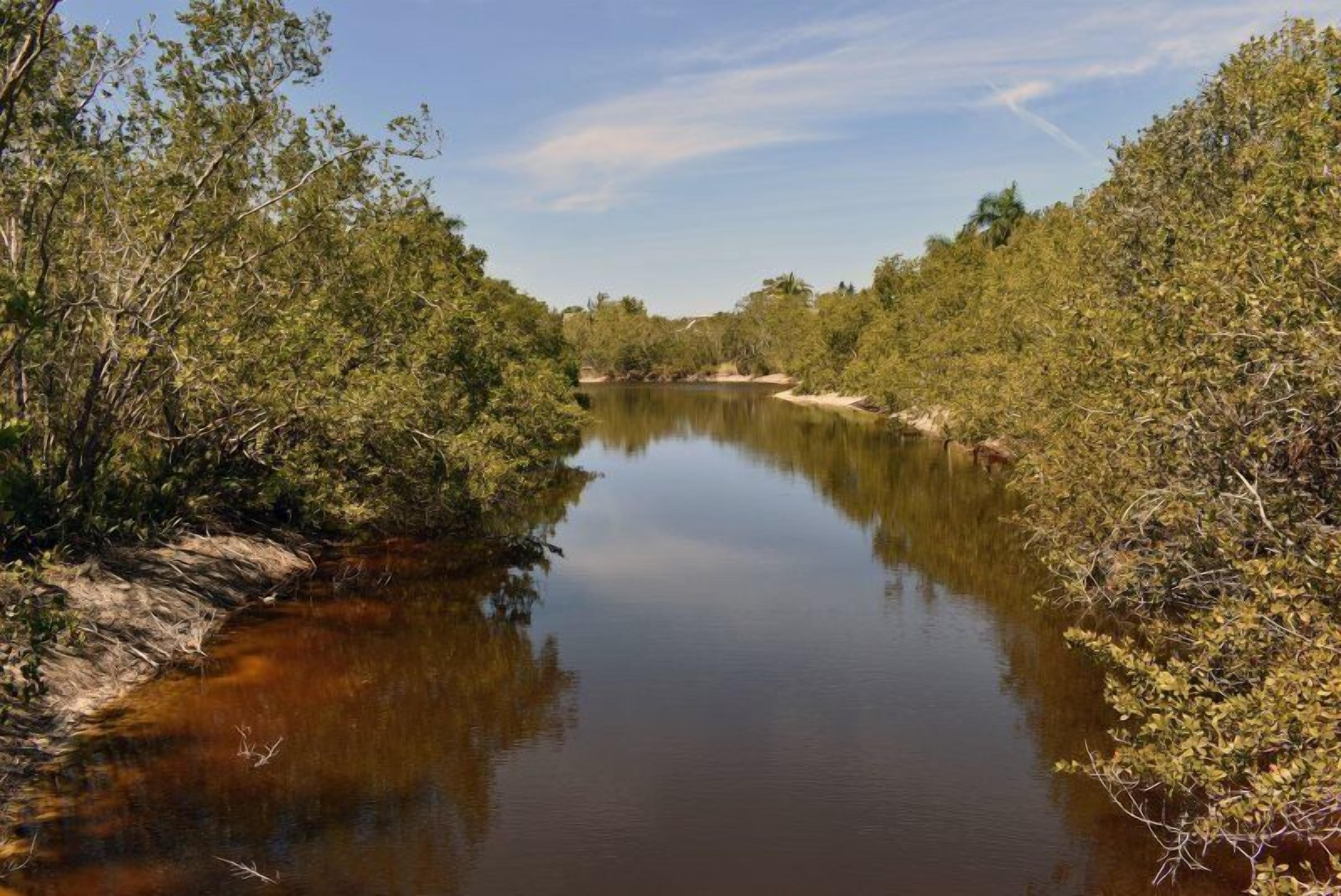 Een kalme rivier omringd door weelderige begroeiing.