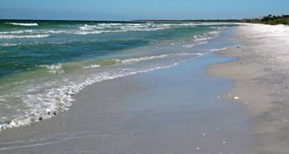 Gulf Pines