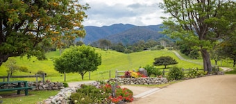 Henkley Cottage 4 - Daniel