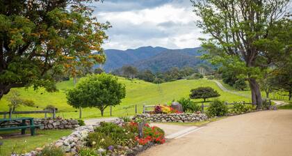 Henkley Cottage 4 - Daniel