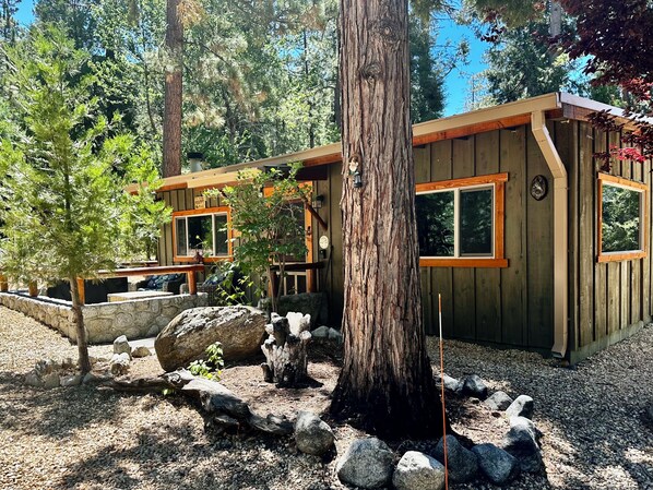 المنطقة المحيطة بالمنشأة