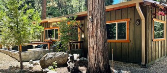 The Little Cabin 🌲The coziest cabin on the Mountain. 