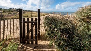 A beach gate with a wooden fence and a sandy path leading to the sea. - Rialto - Magnificent architect's house sea view (Les Portes-en-Ré)