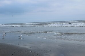 Beach nearby, sun-loungers, beach towels