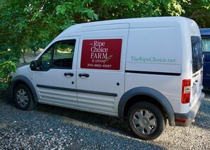 Property grounds - THE RIPE CHOICE FARM STAY (Lakeport)