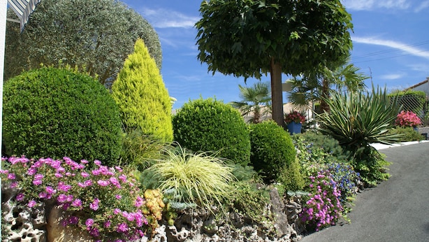 A landscaped garden with various plants and flowers along a roadside. - Gîte Villa l'Olivier - charm, tranquility, beach at VAUX SUR MER / ROYAN. (VAUX SUR MER)