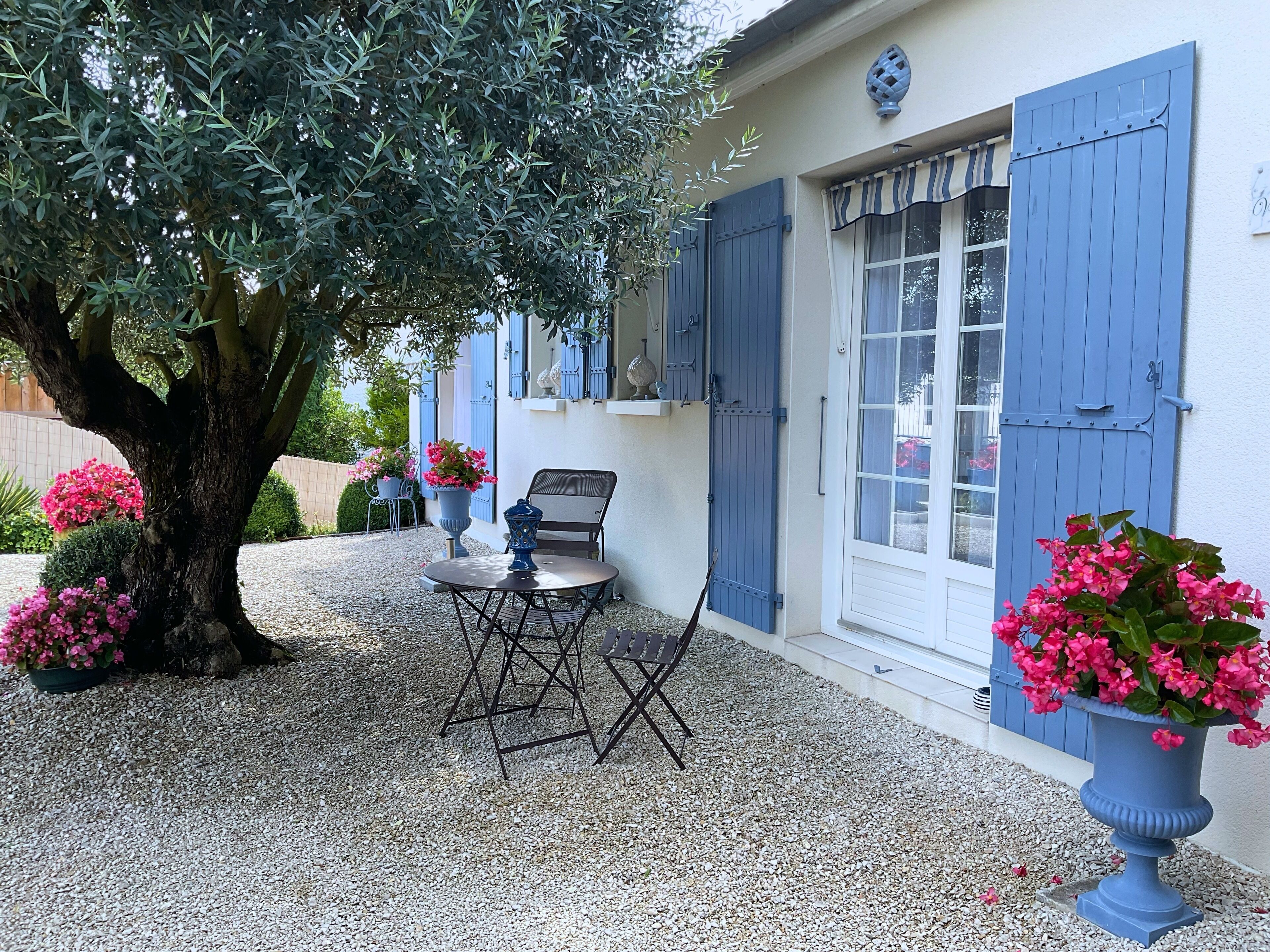 A patio with a table and chairs, a large tree, and potted plants.